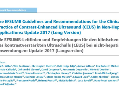 The EFSUMB Guidelines and Recommendations for the Clinical Practice of Contrast– Enhanced Ultrasound (CEUS) in Non-Hepatic Applications: Update 2017